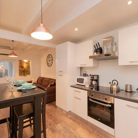 L'aubuisson - Climatise Avec Terrasse Privee Apartment Toulouse