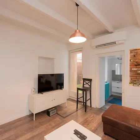 Appartamento L'aubuisson - Climatisé Avec Terrasse Privée Tolosa