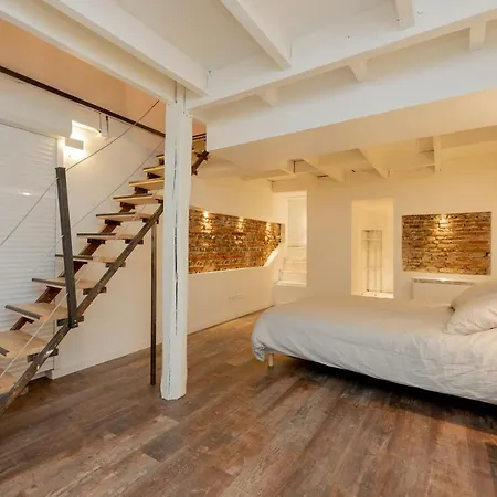 L'aubuisson - Climatise Avec Terrasse Privee Apartamento Toulouse