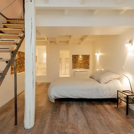 L'aubuisson - Climatise Avec Terrasse Privee * تولوز